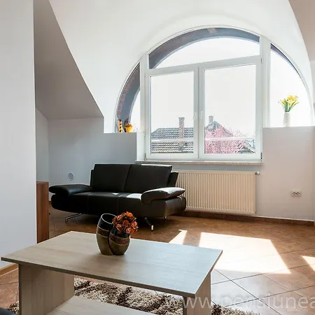 Pensiunea Zbor 1 Maison d'hôtes Cluj-Napoca