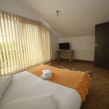 Gasthuis Pensiunea Zbor 1