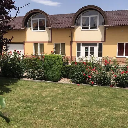 Penzion Pensiunea Zbor 1 3*