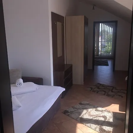 Gasthuis Pensiunea Zbor 1 3*