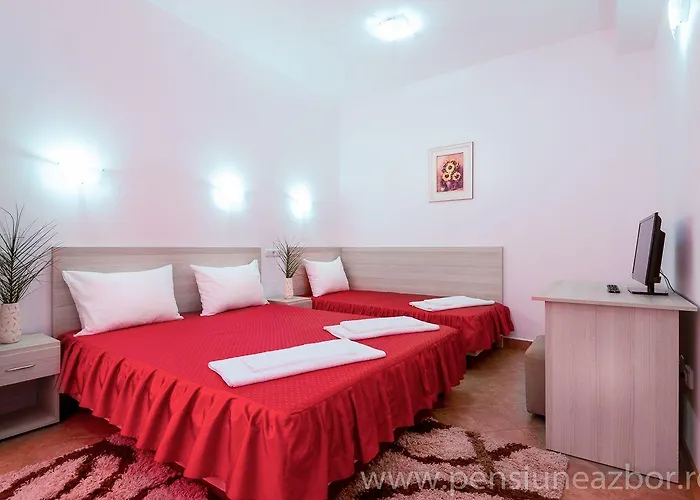 Pensiunea Zbor 1 Cluj-Napoca