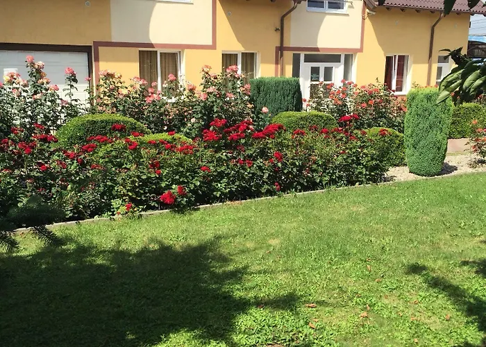 Pensiunea Zbor 1 Penzion