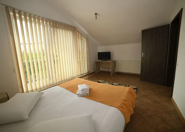 Penzion Pensiunea Zbor 1