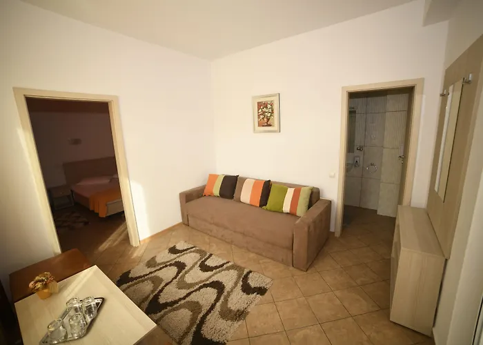 Pensiunea Zbor 1 Penzion 3*