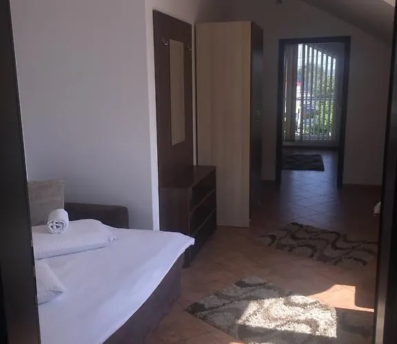 Pensjonat Pensiunea Zbor 1 3*